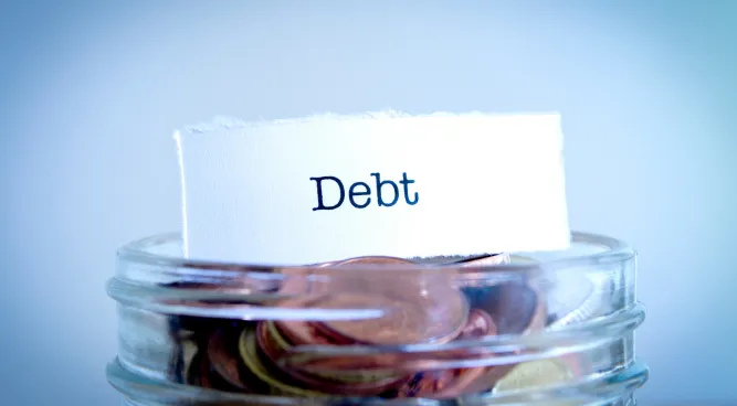 Living Debt