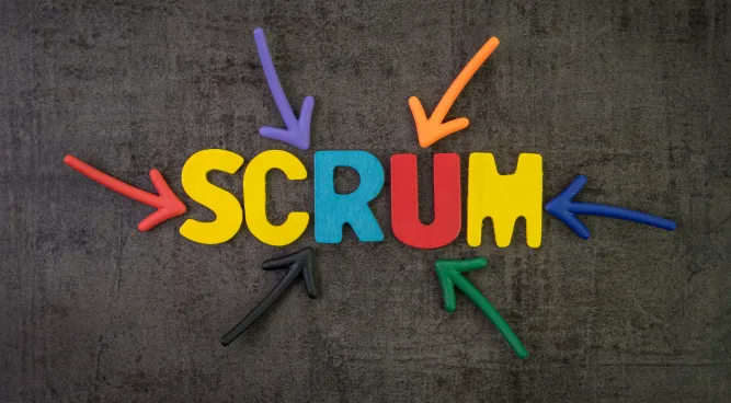 scrum project