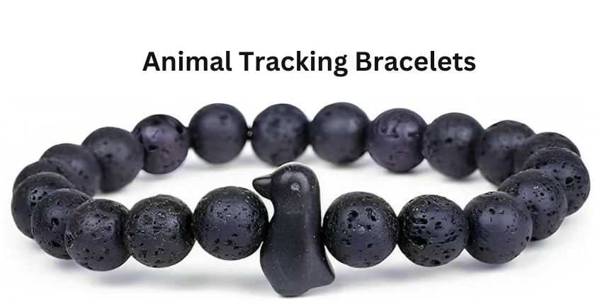 animal tracking bracelets