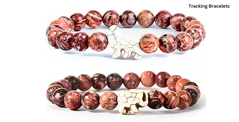 animal tracking bracelets