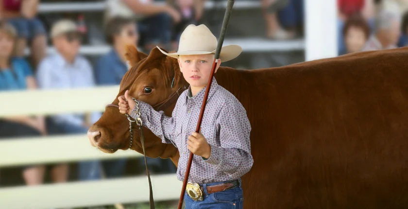 Ventura County Fair 2023