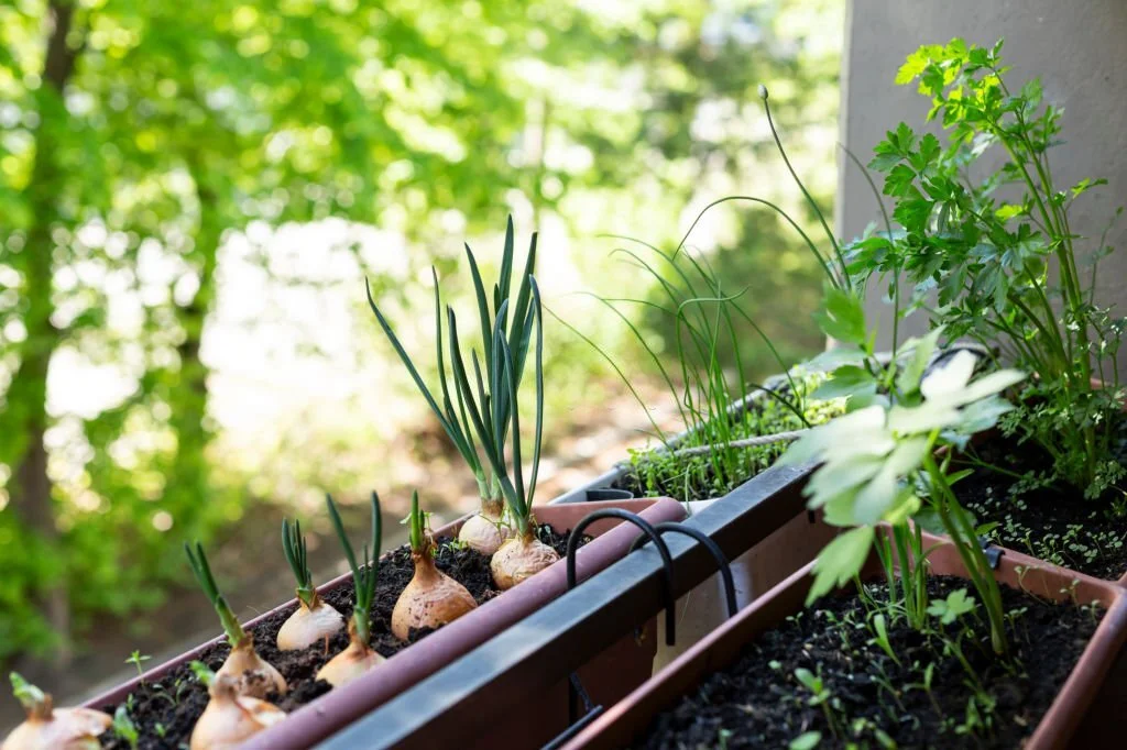 balcony garden ideas for small spaces