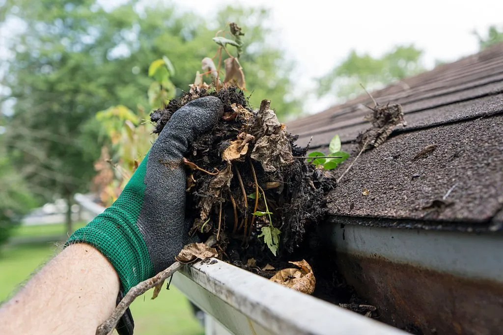 Gutter Cleaning and Repair