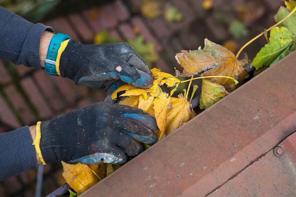 Gutter Cleaning and Repair