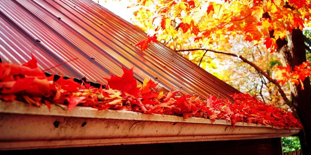 Gutter Cleaning and Repair