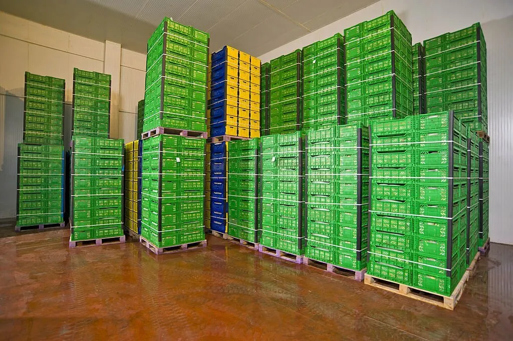 Plastic Pallets