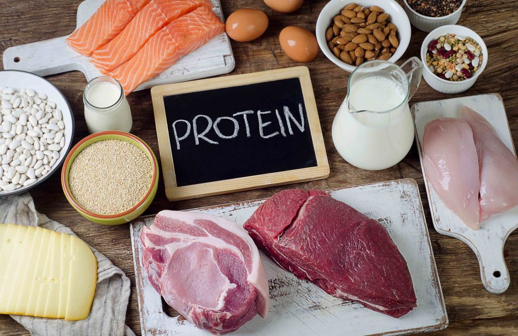 Protein Power Play