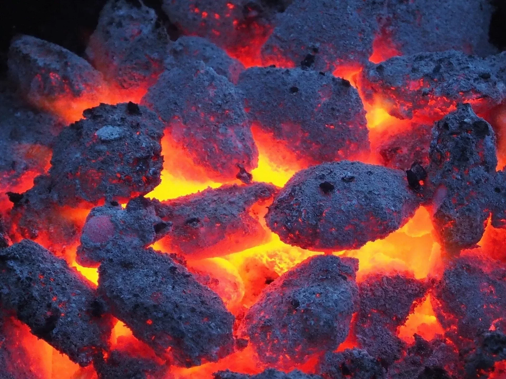 charcoal grill recipes