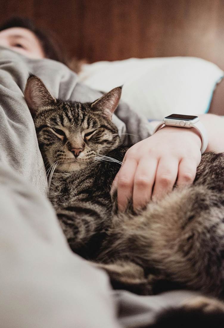 Pet Companionship