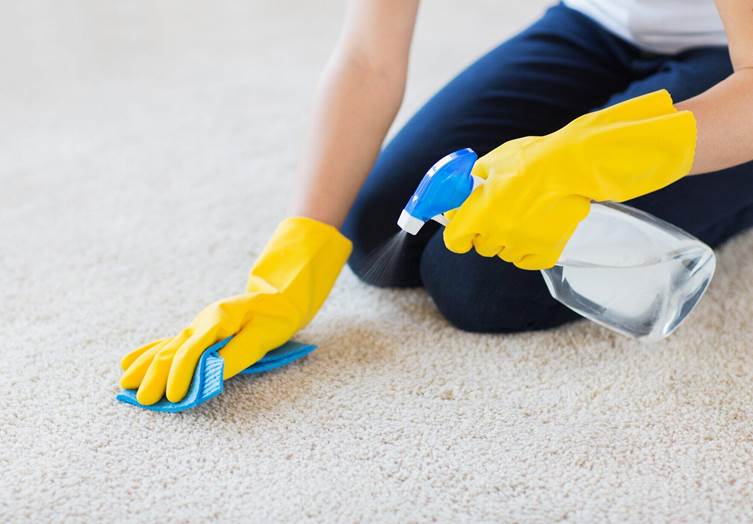 Expert Carpet Cleaners