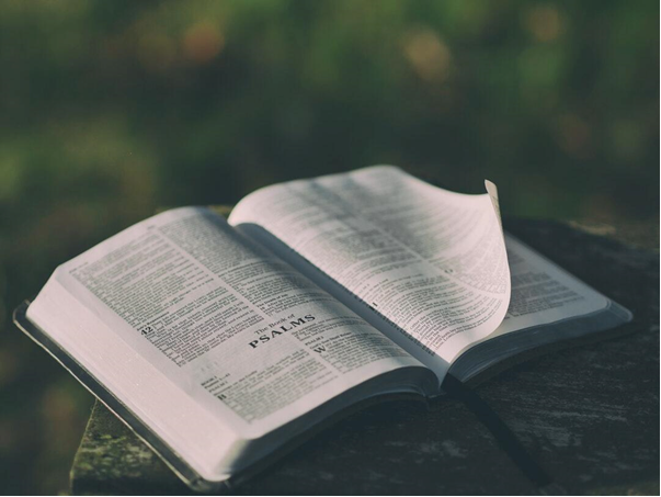 Canticles